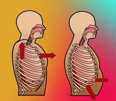 [Александр Волоткевич] Регулировка внутрибрюшного _0.png